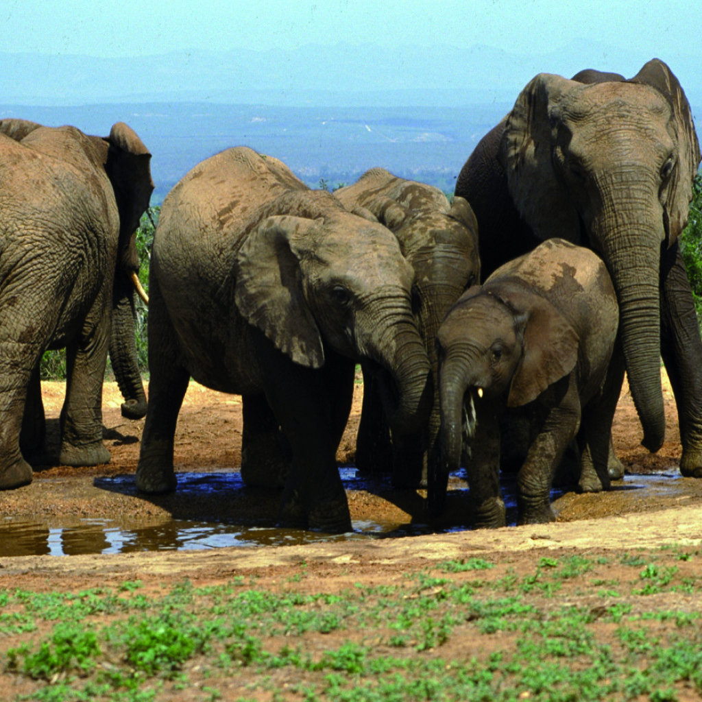 Garden Route & Lesotho - Camping oder Lodge erlebnisreisen